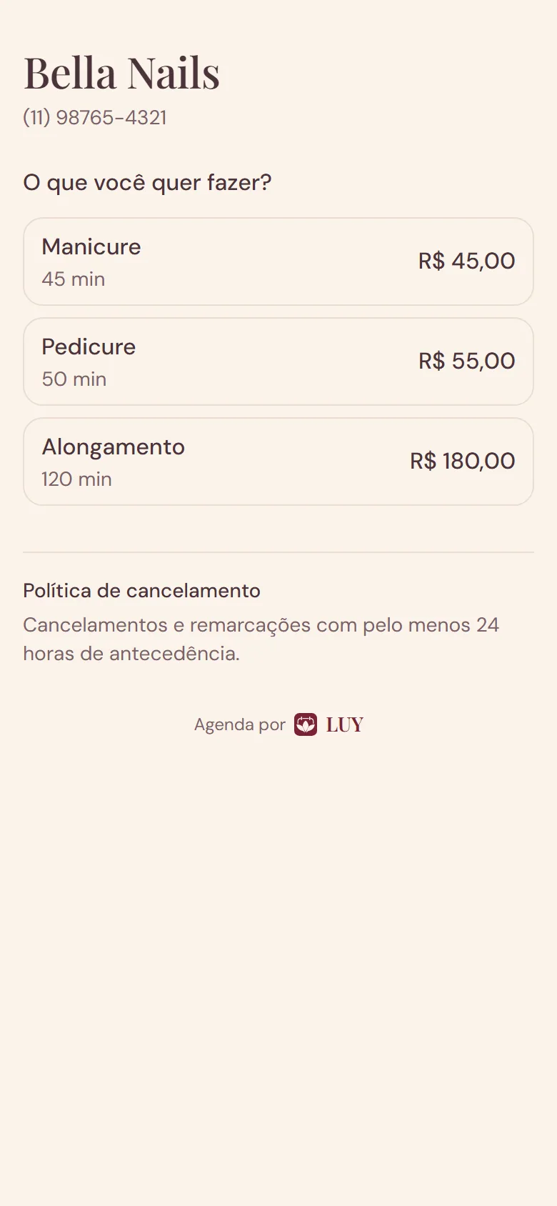 Tela Agendamento online da LUY